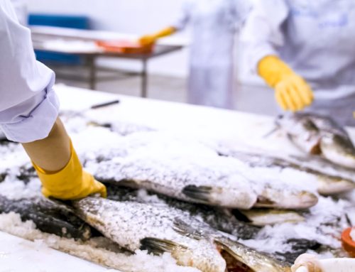 Jobben med fiskeforedling førte til lakseastma og erstatning på nesten kr. 550.000,-