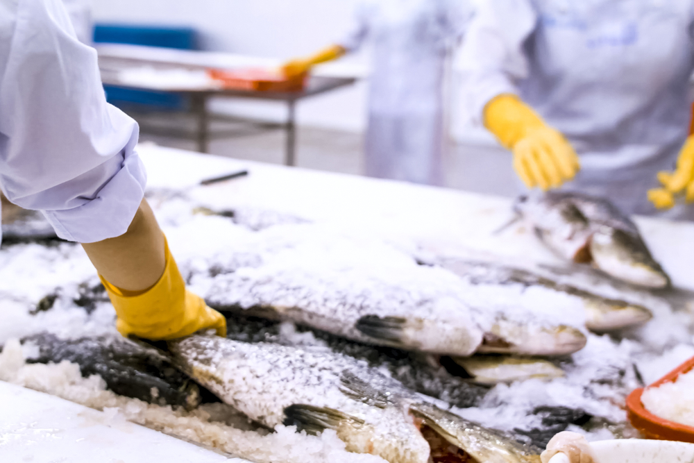Frozen,Salmon,In,A,Warehouse,In,The,Refrigerator.,Salmon,Fish